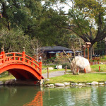 jardim japonês de Buenos Aires