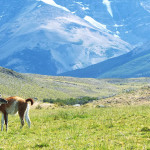 Quanto custa viajar para a Torres del Paine