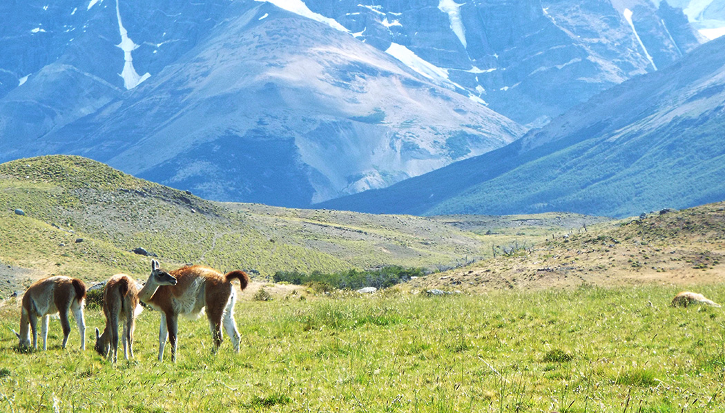 Quanto custa viajar para a Torres del Paine