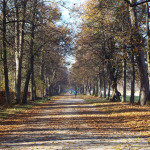 Munique