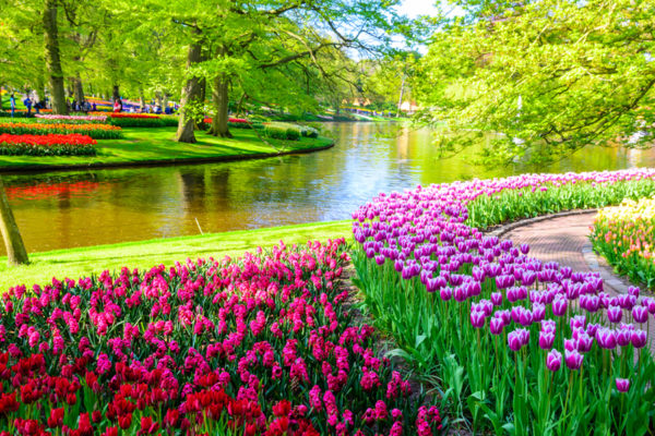 Keukenhof