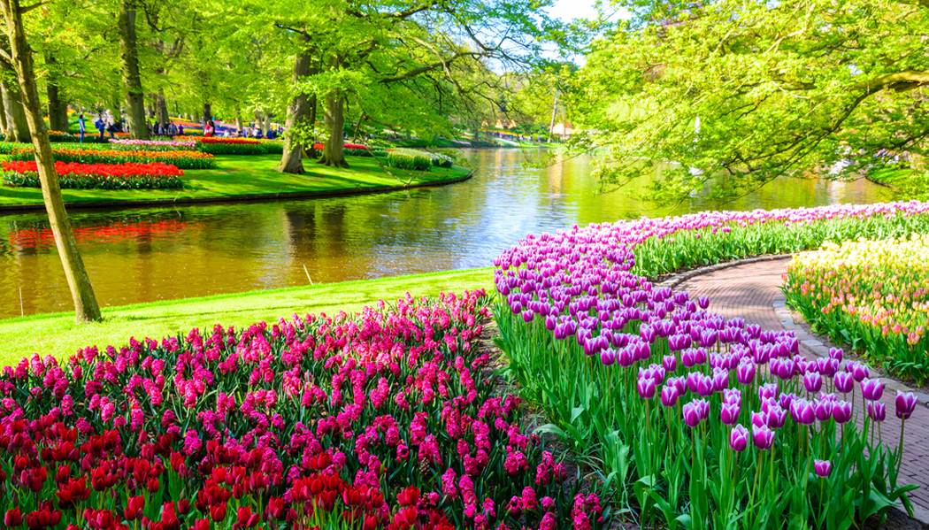 Keukenhof: o jardim de tulipas mais bonito da Holanda - Vou na