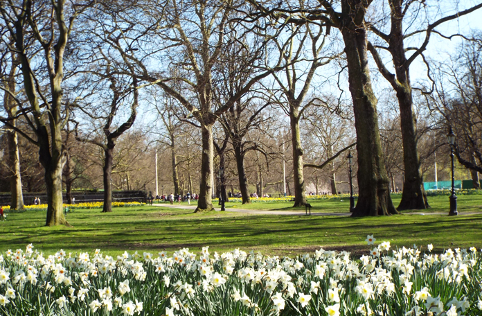 Dicas de Londres