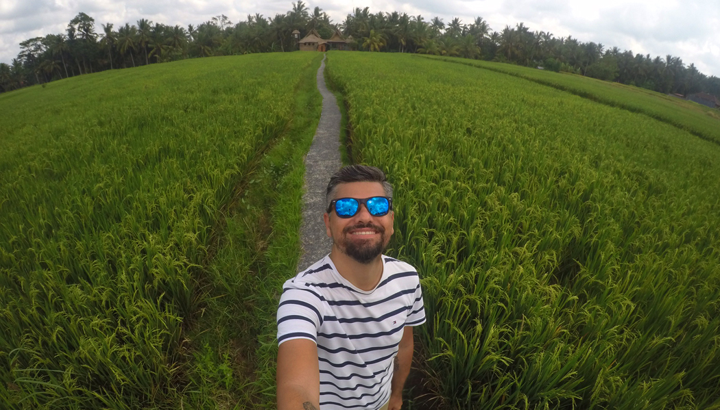 Campos de arroz de Ubud