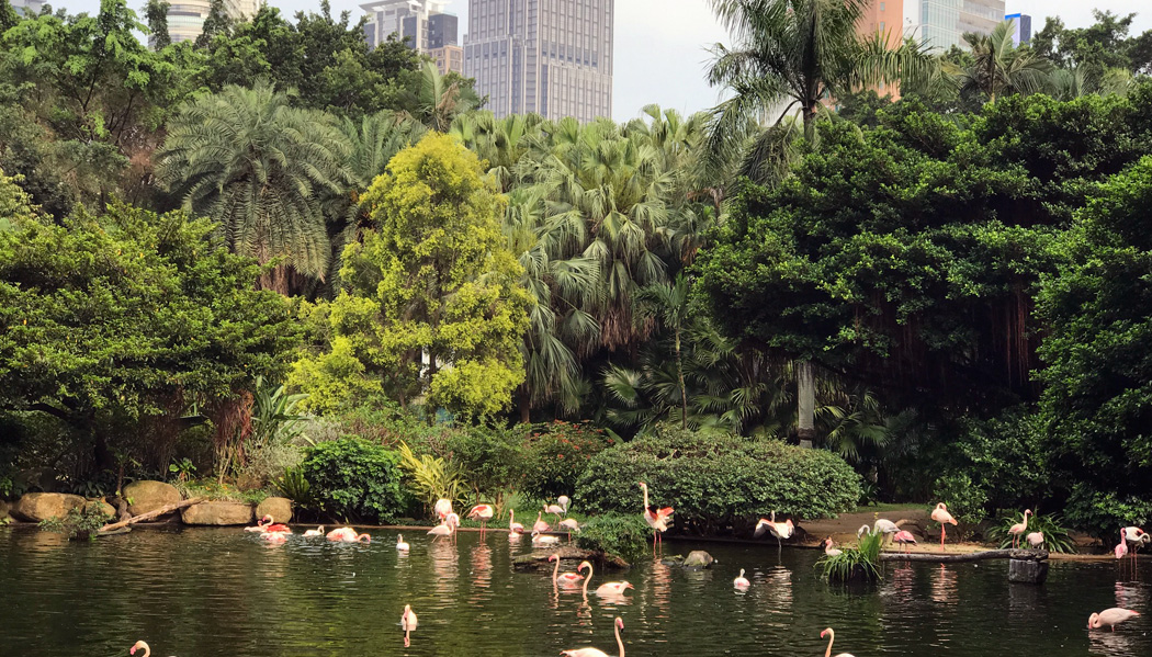 Parque Kowloon