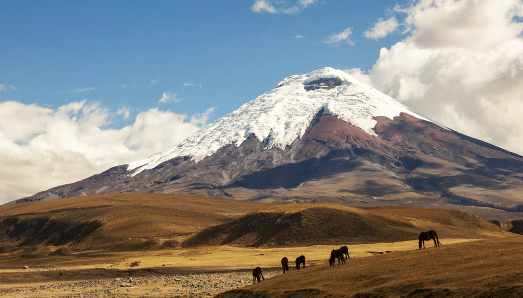 Cotopaxi: a experiência no terceiro maior vulcão ativo do mundoVou na  Janela | Blog de viagens