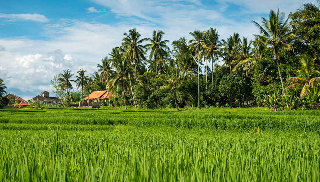 ficar em Ubud