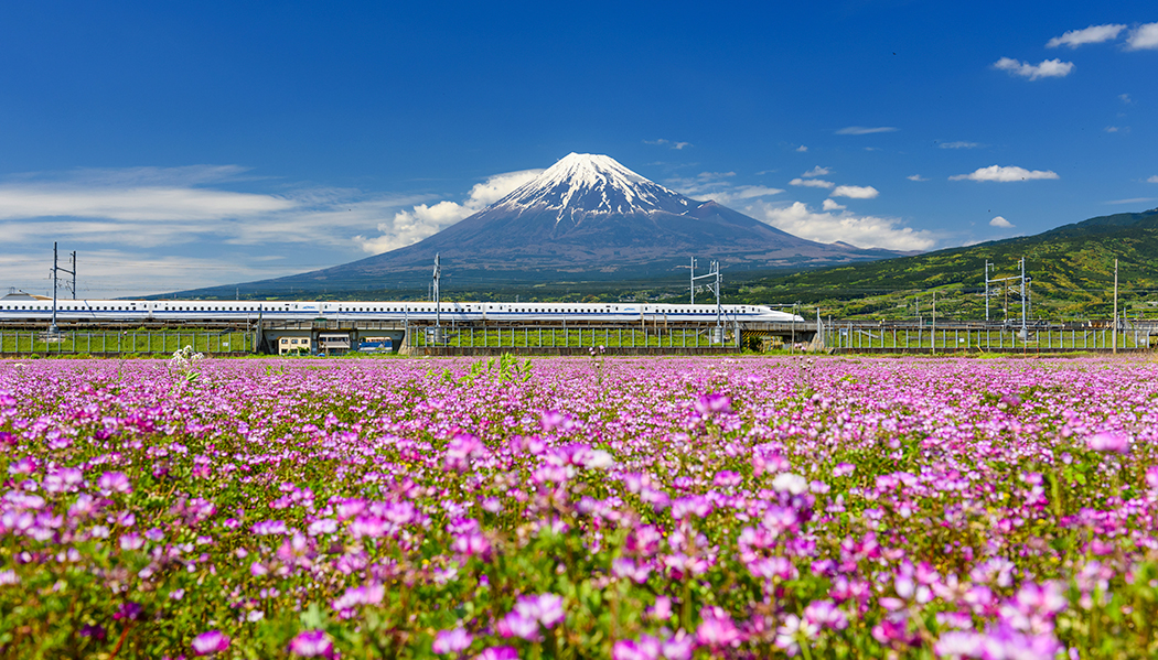 Trem bala no Japão