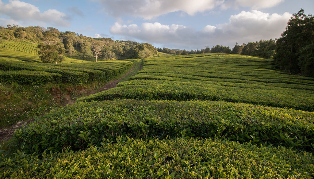 O que fazer nos Açores