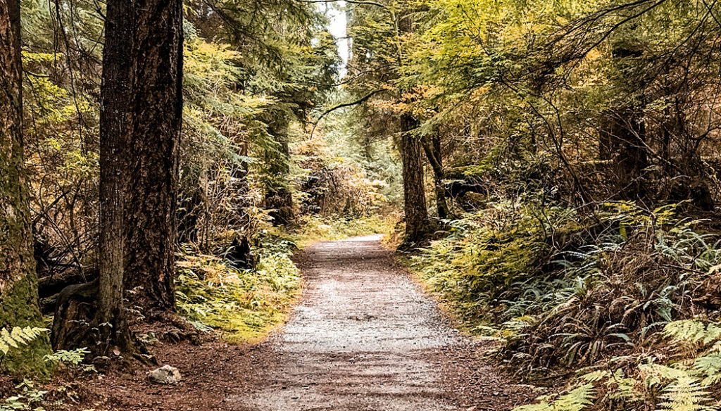 Stanley Park em Vancouver