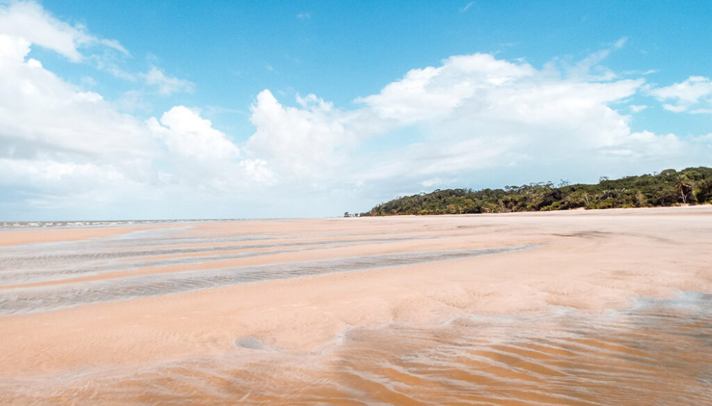 O que fazer na Ilha do Marajó O que fazer em Belém