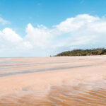 O que fazer na Ilha do Marajó