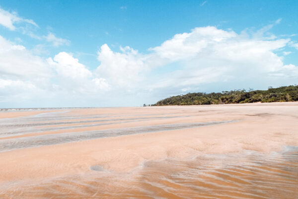 O que fazer na Ilha do Marajó