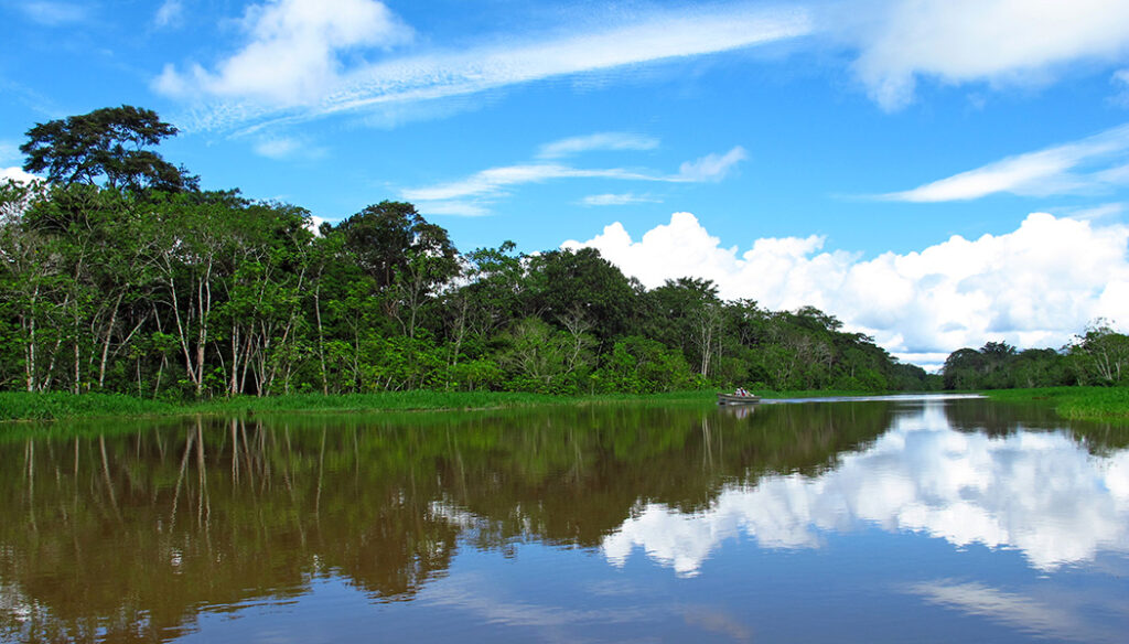 Coisas para fazer em Manaus