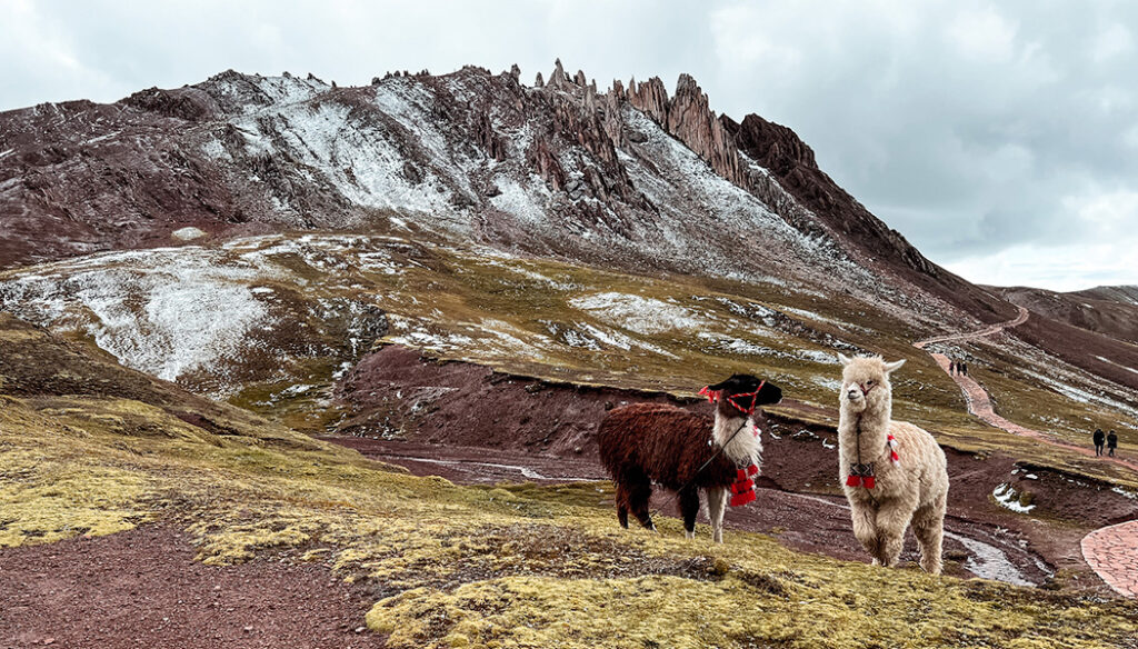 O que fazer em Cusco