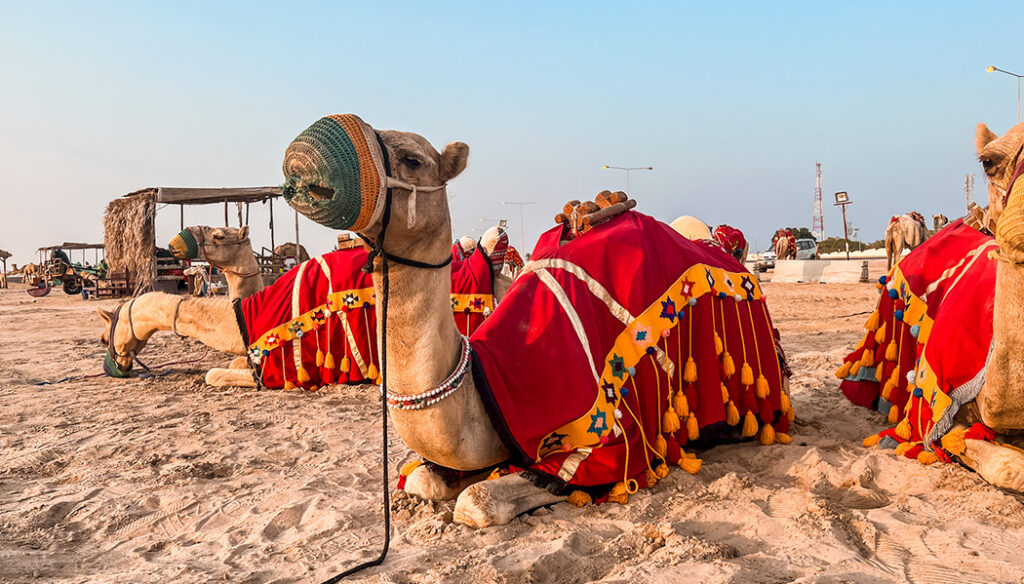 Passeio no deserto do Qatar