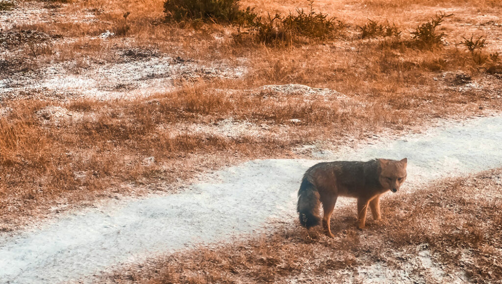 Parque Nacional Terra do Fogo