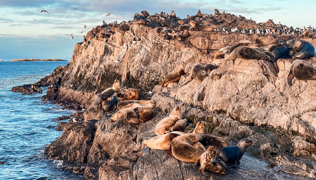 O que fazer em Ushuaia